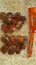 Zapfen 2x Tüte Rot Tanne Kiefer Basteln Deko Advent Blumen kranz