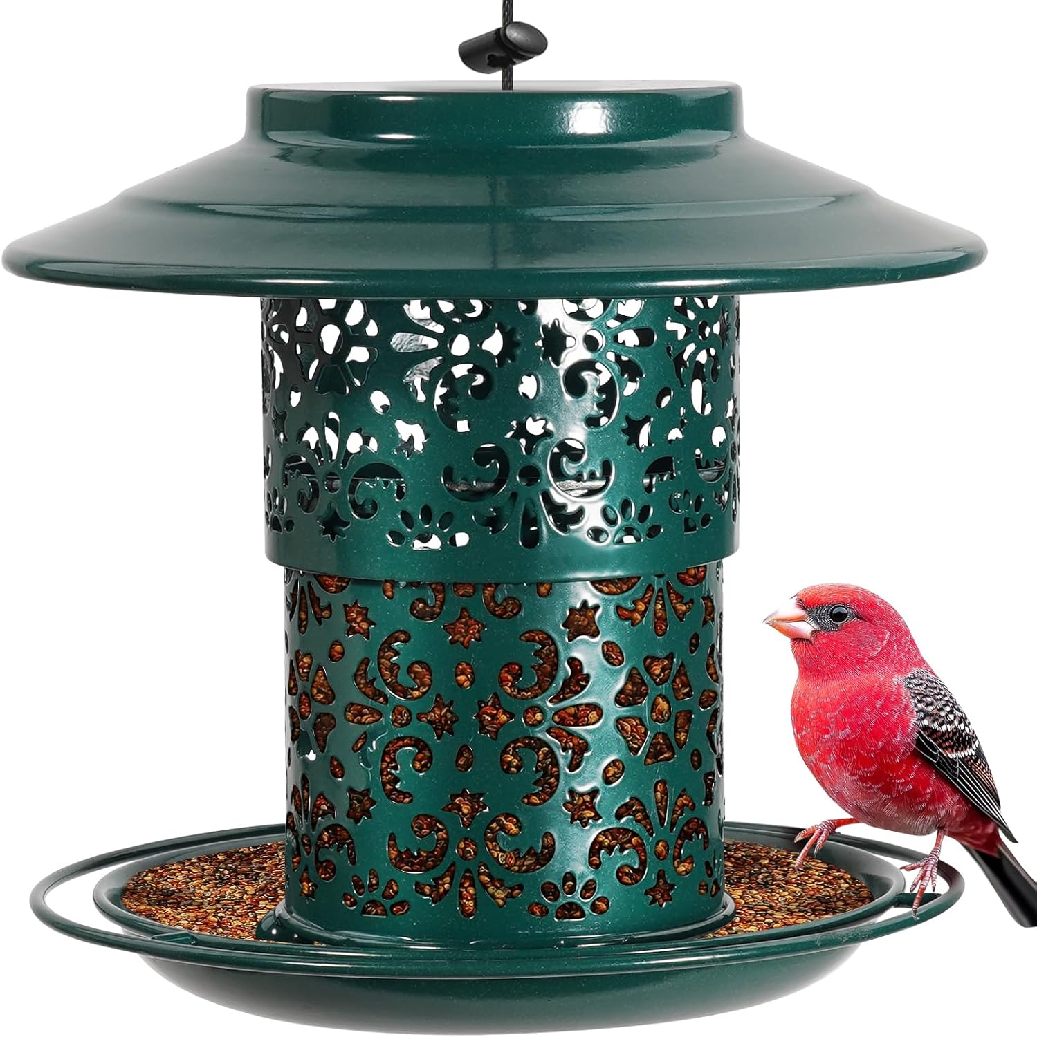 Metal Bird Feeder for Outdoors Hanging Premium Grade Metal Bird Feeder for small
