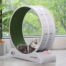 Rueda de ejercicio para gatos, cinta de correr grande para gatos