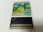 Wonder Boy Sega My Card SC-3000 SG-1000 C-69 1985 Region Free SEGA Used