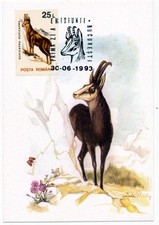 Romania 1993 Maxi Card - Chamois Michel No. 4904