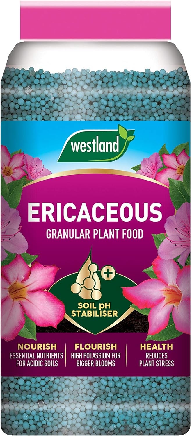 Westland Ericaceous Specialist Plant Food Slow Release Soil Granules Jar 900g