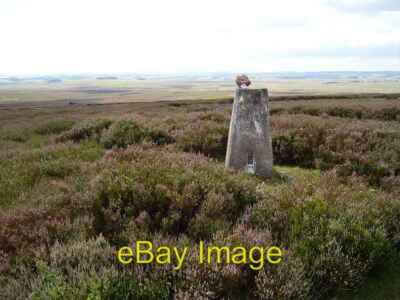 Photo 6x4 Kyles Hill Polwarth Trig point amongst heather starting to bloo c2006