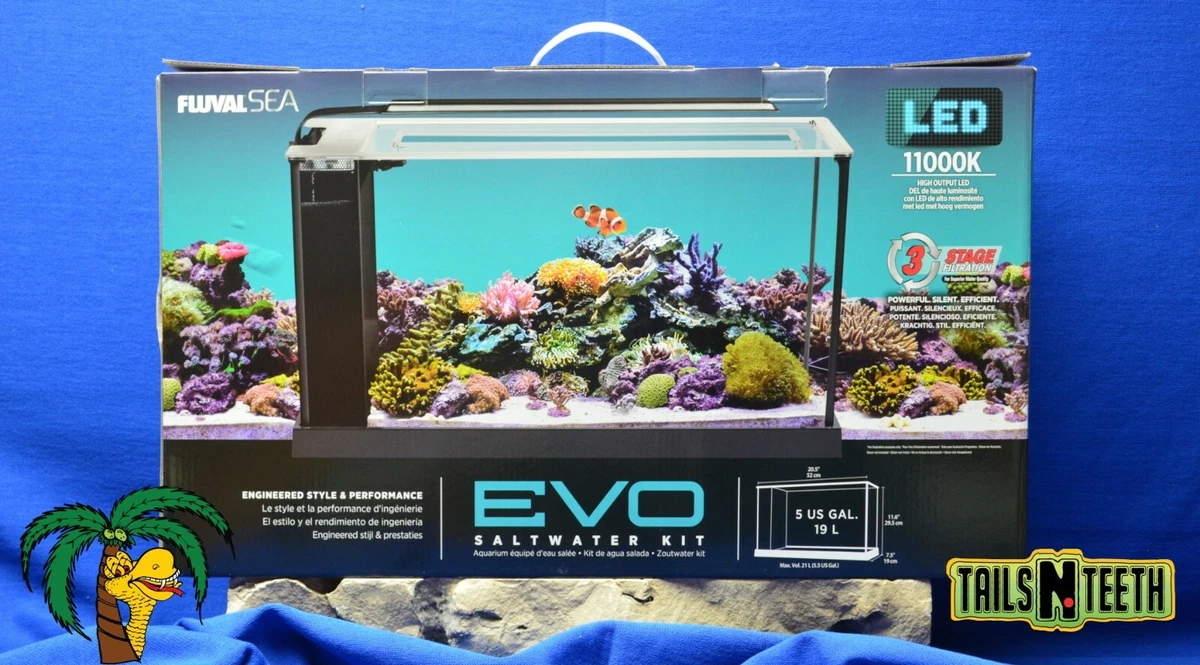 Fluval SEA Evo Saltwater Aquarium Kit 5Gal (19L) - LED 11000K - 3 Stage  Filter