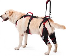 Lafoty Dog ACL CCL Knee Brace for Large Dogs, Set of 2 Hind Leg Braces OPN BX