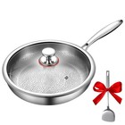 Titanium Pan with Hammer & Lid,11.8'' Titanium & Stainless Steel Pro