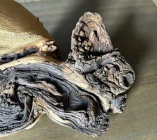 Mopani Wood Aquarium Terrarium Fish Reptile Pet Supplies Art Garden Decor