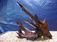 XXX-Large Driftwood 20"x25"x19" Aquarium Terrarium Reptile Natural Art
