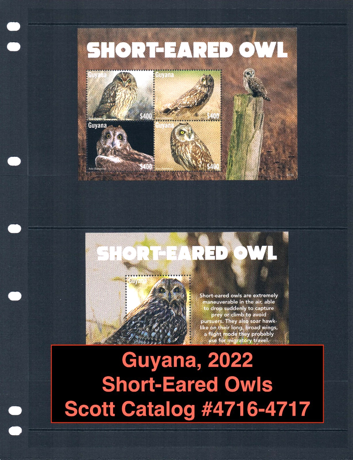 $23.25 Scott Value - 2022 GUYANA Owls 2 s/s Birds South America CV MNH NH UMM