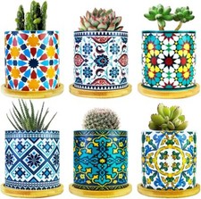 Pack de 6 Macetas Suculentas Mandala con Bandejas de Bambú Cerámica Multicolor Sucul