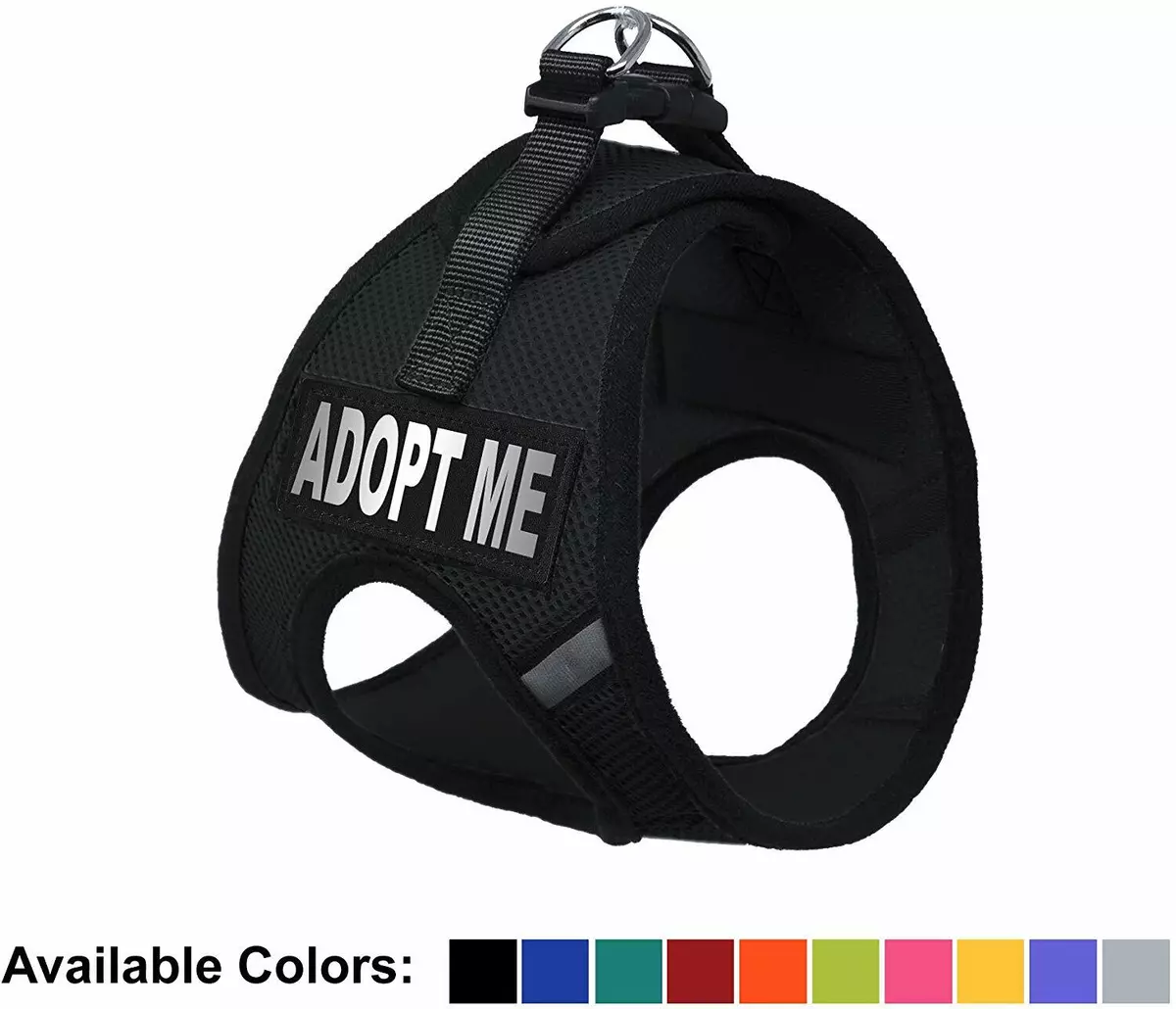  Dogline Blank Removable Patches, Large/X-Large,Black : Pet  Supplies