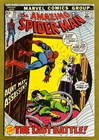 The Amazing Spider-Man #115 (Marvel Comics December 1972) VG Cond.