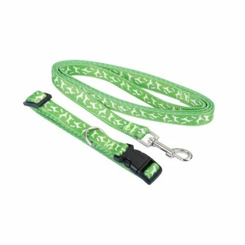Collier vert pour chien