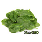 Giant Noble Spinach Seeds | Non-GMO | Heirloom | Vegetable Garden Seeds