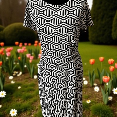 Cato Women's Black & White Solid Rayon Round Neck Sleevele Length Dress Size 12