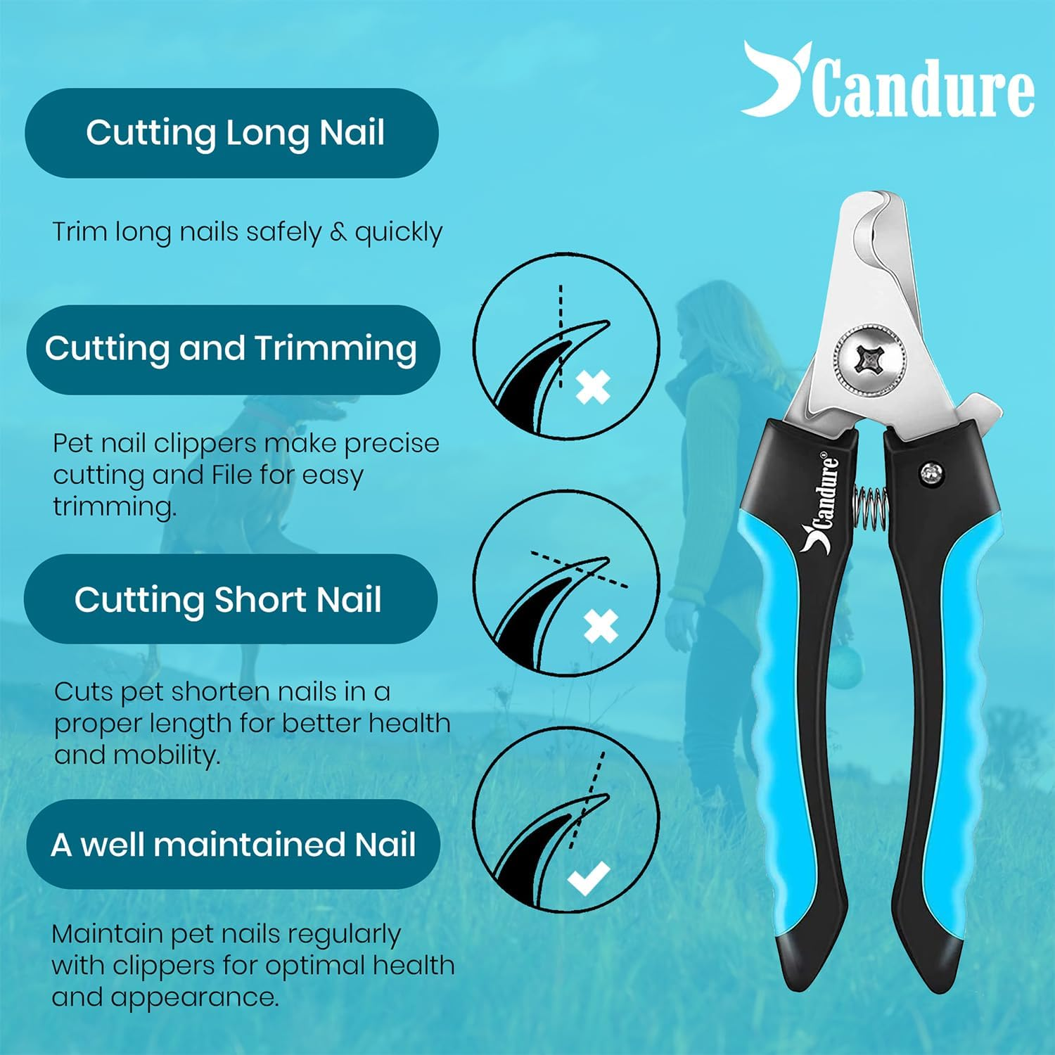 Candure Dog Nail Clippers for Large,Medium and Small Breed Professional