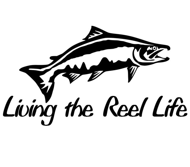 8" Cool fishing sticker vinyl funny decal skillet fish kayak salmon