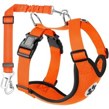 Hundegeschirr mit Sicherheitsgurt Auto Hund Sicherheitsgeschirr Kofferraum XS