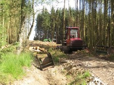 Photo 12x8 Timber harvesting, Moneyrees Stell Whygate Forestry machinery p c2017