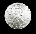 2004 Silver American Eagle $1 - BU - Brilliant Uncirculated