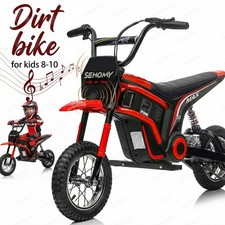 24V Ride on Dirt Bike 350W Electric Motorcycle Off Road Bike Toys for 8-12 Years