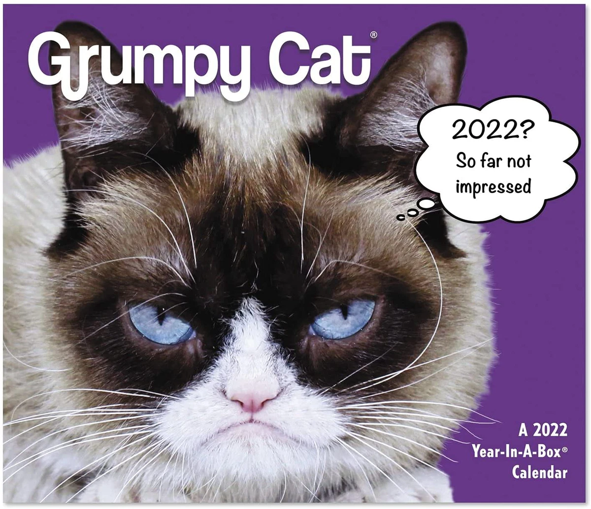 Grumpy Cat 2022 Desk Calendar Year-In-A-Box by ACCO | eBay
