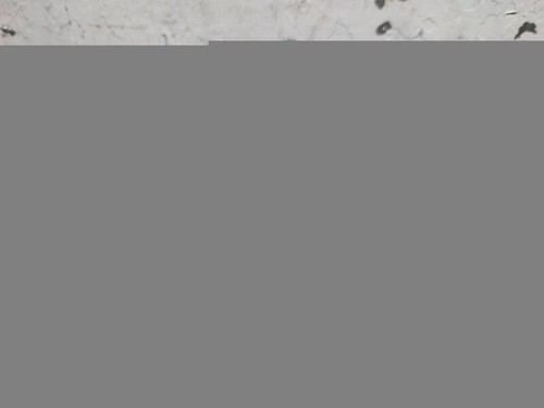 7L6407271A antriebswelle vorne rechts VOLKSWAGEN TOUAREG 7LA V8 2002 427394