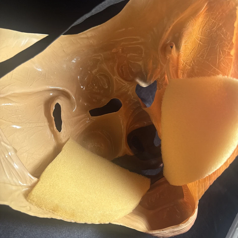 Máscara de cerdo Foto 3 de 3