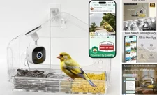 Smart Window Bird Feeder with Camera, 24/7 Powered for 2K HD Live View & Clear