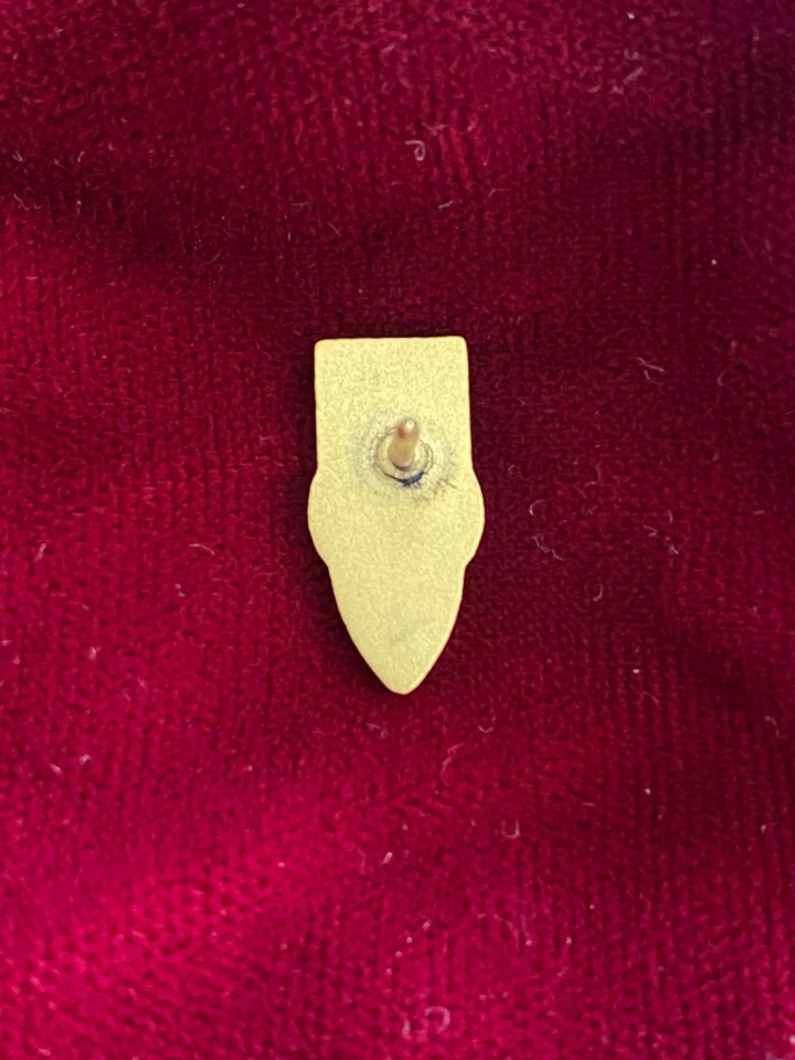 Pin de premio Buick Employee Service Award años 50 años 60 pin de coche vintage Foto 3 de 3