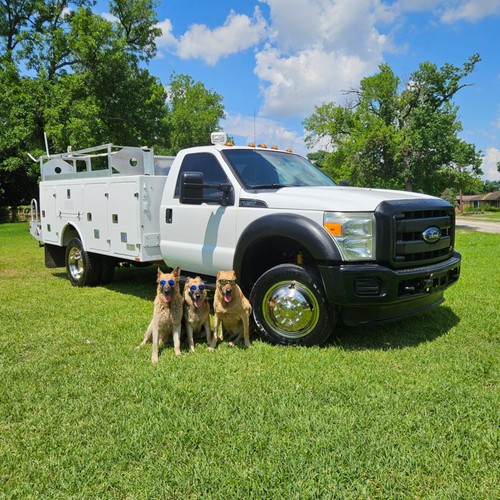 2012 Ford F-450 Super Duty Single Cab