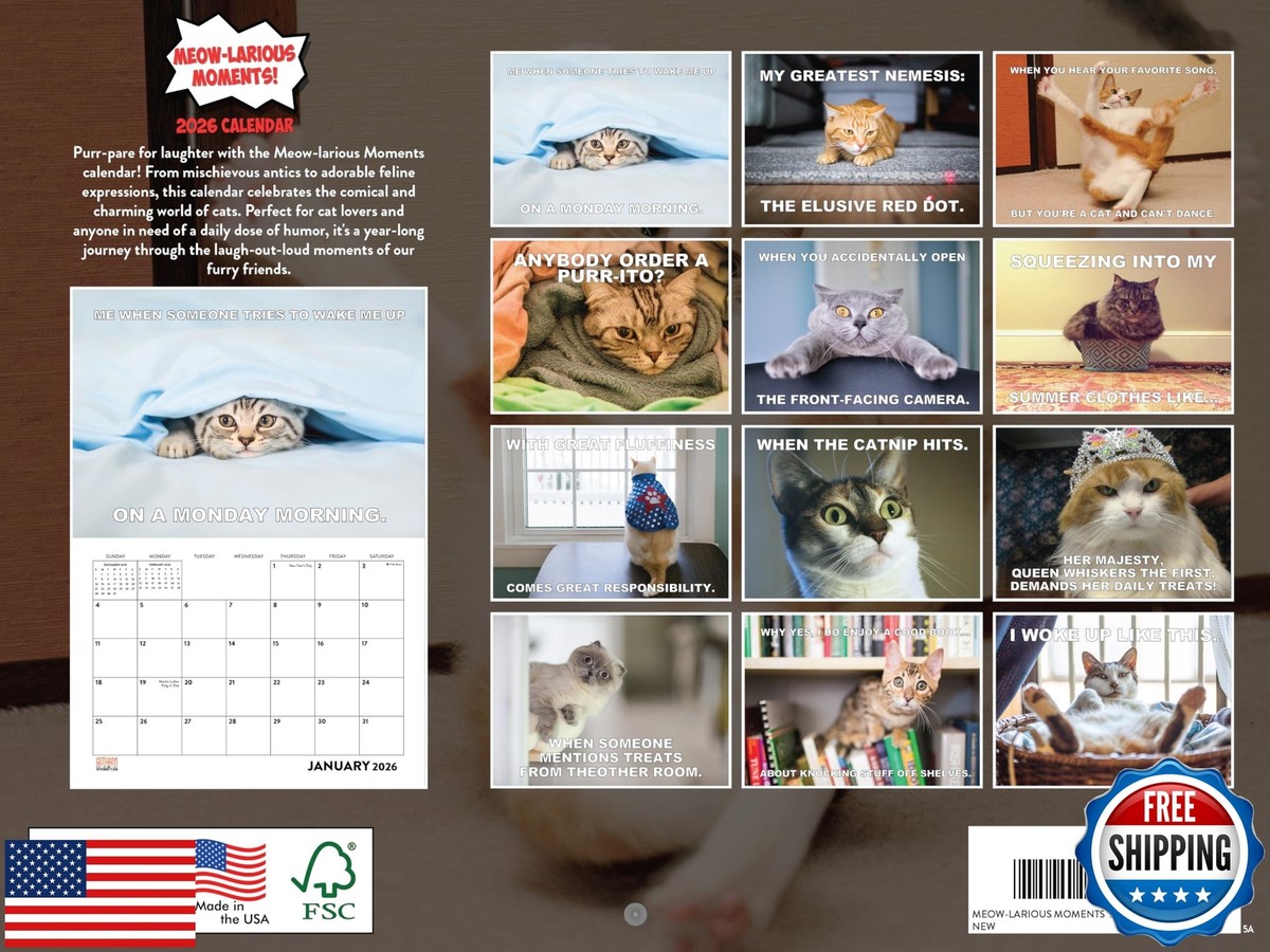 2025 Black Cats Monthly Wall Calendar By Bright Day, 12 X 12 Inch Cute Cat Breed Gift