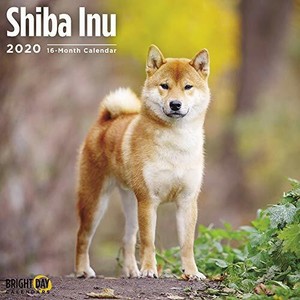 Details About Shiba Inu 2020 Wall Calendar Brand New 602308