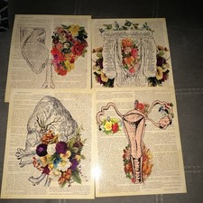 Vintage French Text Floral Anatomy Illustrati...