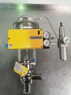 Flowserve Kammer Linear Winkelregelventil - Cleanflow 1917P2