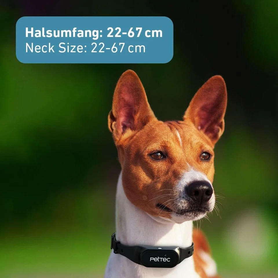 PetTec Anti Bell Halsband, Halsband gegen Bellen, Sprühhalsband, Sprayhalsband - Bild 2 von 4