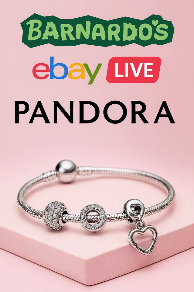 Pandora Jewellery Event Barnardo's Charity Live Christmas Gifts XMAS Bling