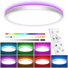 Smart LED Ceiling Light Lamp RGB Ultra-Thin Round Flush Mount Lighting Light