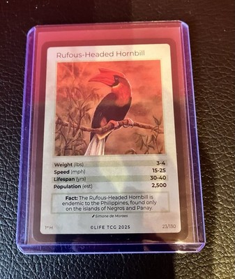Life TCG Birds 1st Edition - Rufous-Headed Hornbill - Holo 23/130 - Pop 2.500