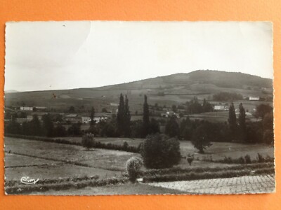 cpsm QUINCIÉ in BEAUJOLAIS circa 1950 MONTMAY Le SOUZY RENAMED RAW VINES