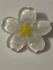 Fit Petite Ginger Snap White 12mm snap