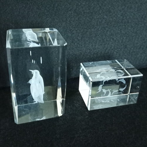 3d Laser Etched Crystal Glass Paperweights Floating Penguins, Dolphins, Set of 2 - Picture 2 of 14