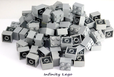 100 LEGO Bulk Sale Light Bluish Grey Brick x (3003) (100