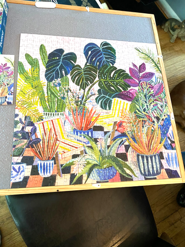 "Potted" 500 Piece Puzzle by Galison 9780735371484 Jigsaw very nice condtion - 第 1/5 張圖片