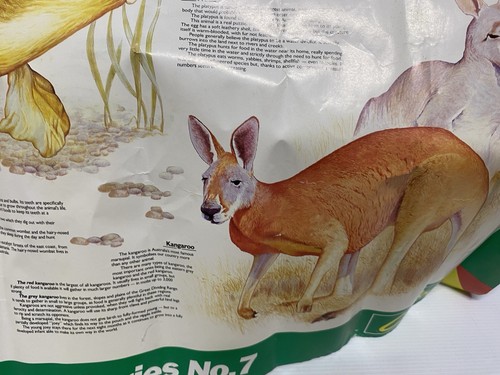 Clarks Amazing Australian Animals Poster Wildlife Natures Series No 7 Vintage - Bild 5 von 9