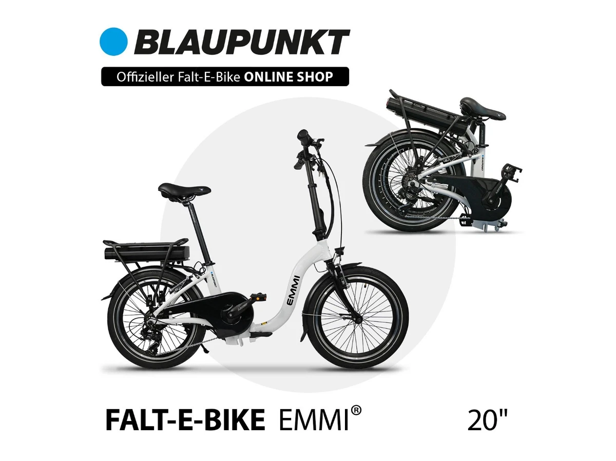 herren gravel e bike Fiido C21 Gravel & City E-Bike