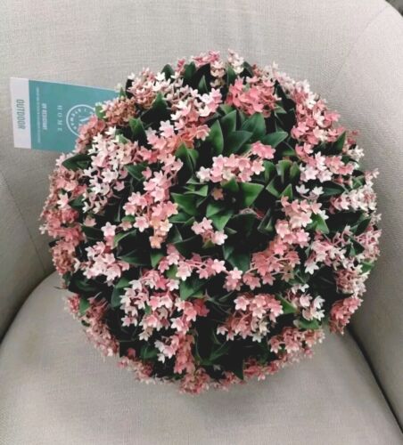PALLA PIANTA TOPIARIA MEDIA 14" MARTHA STEWART rosa variegata GELSOMINO LILLA 43" C - Foto 2 di 24