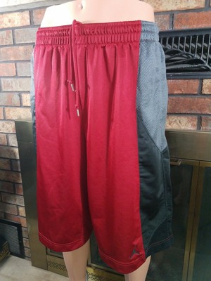 air jordan gym shorts