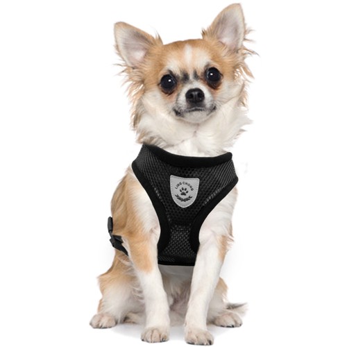 Breathable Pet Dog Harness and Leash for Chihuahua Yorkie Shih Tzu Poodle - Picture 11 of 16