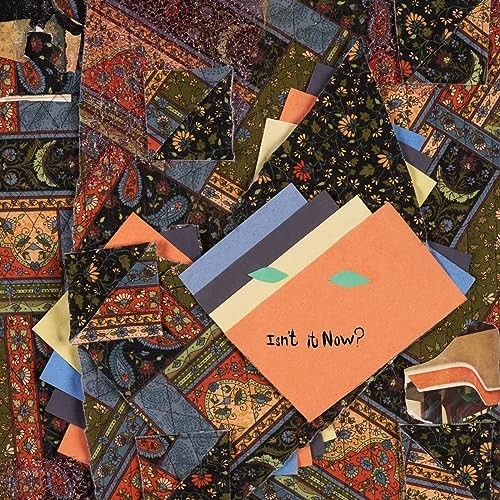 Animal Collective Isn't It Now? Double LP Vinyl WIGLP528 NEW